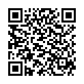 QR ALPINE PARTYPLUG OHRSTOEPSEL