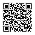 QR Spagyrik Ribes Nigrum 500мл