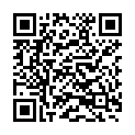 QR Бургерштейн Цинк-C 115 г 25 ирисок