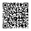 QR Duralock-c Pre-Filled Syrin 4% 2x2.5ml Set 30 Stück