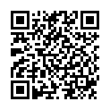 QR Phytomed Schüssler Komplex Nr. 1-12 500ml