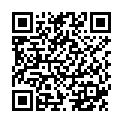 QR PHYTOMED SCHüSSLER № 17 Manganum серный Dil D12 500 мл
