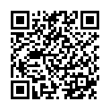 QR PHYTOMED SCHÜSSLER № 19 Cuprum arsenicosum Dil D12 500 мл