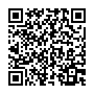 QR Гольфы Mediven Travel Женские M черные 1 пара