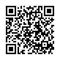 QR Herba Rundbürste ?15/35mm Wildschweinbor Buche Fs