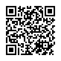 QR Ardo Tulips Brusthuetchen S Silikon Box 2 Stück
