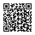QR Косметичка Herba 27см бриллиантово-серый