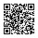 QR Herba Haarbürste Metallstifte Klein Buchenholz Fs