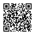 QR Sn Zincum Metallicum Granulat Mk 4g