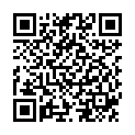 QR Sonnentor Holunderblüten Tee Beutel 18 Stück