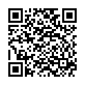 QR VT IMPULS AD KKL2 VI n/l gFs caramel