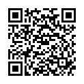 QR VT IMPULS AD KKL2 III n/l gFs schwarz