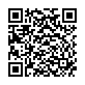 QR VT IMPULS AD KKL3 III n/l gFs caramel