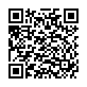 QR VT IMPULS AD KKL3 V n/l gFs caramel