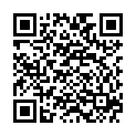 QR VT IMPULS AD KKL3 VI p/l gFs caramel