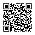 QR VT IMPULS AD KKL3 V n/s gFs schwarz