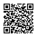 QR VT IMPULS AD KKL3 I p/s gFs schwarz