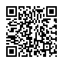 QR VT IMPULS AD KKL3 I p/l gFs schwarz