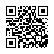 QR DIXA Chai Gewürztee