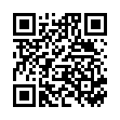 QR ХАБИБИ плюшевый енот