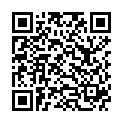 QR TOPPIK Haarfasern medium blonde