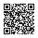 QR SPAGYROS SPAGYR Helianthus tuberosus