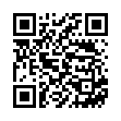 QR VITILITY Haarbürste