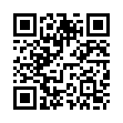 QR BAMBAW Rasierpinsel silber