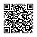 QR SN Selenium metallicum complexe Tropfen