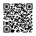 QR BLENDERCLEANSER Solid Lavendel