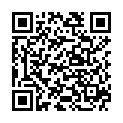 QR WERO SWISS Защитная маска типа IIR