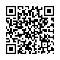 QR PRANAROM Ingwer Wurzel Äth/Öl BIO