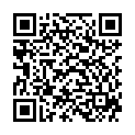 QR PRANAROM Aromalgic Balsam traditionell