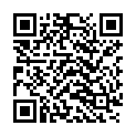 QR ZHENDE Medizinische Maske Typ IIR unsteril