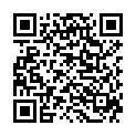QR ALWAYS Discreet Inkontinenz Normal