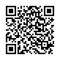 QR ALWAYS Discreet Inkontinenz Long Plus 0%