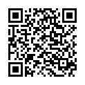QR ALWAYS Discreet Inkontinenz Long