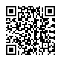 QR Sonnentor Advent чайный БИО пакетик 18 шт.