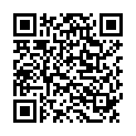QR ALWAYS Discreet Inkontinenz Long Plus