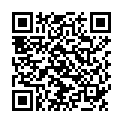 QR SONNENTOR Lichterglanz Kräutertee BIO