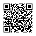 QR EDEL+WHITE Interdental Bürsten SS 0.5mm