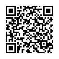 QR SCHÄR Крекеры Карманные безглютеновые