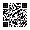 QR BORT 100 AG KKL2 I offen kurz schw Nopp