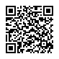 QR BORT 100 AG KKL2 II geschl norm schw Nopp