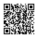 QR L'ACTION COSMETIQUE Haarfärbestift schwarz