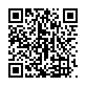 QR VEPOCHROM Entkalker-Schaum Vapo 360° (neu)