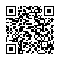 QR Ceres Cynara Scolymus настойка 20мл